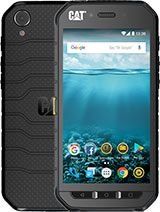 S41 - Cat specifications and review