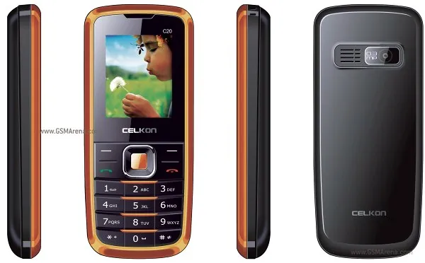 C20