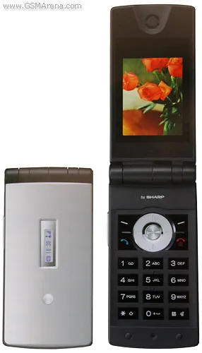 GX29