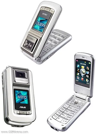 M310