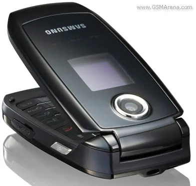S501i