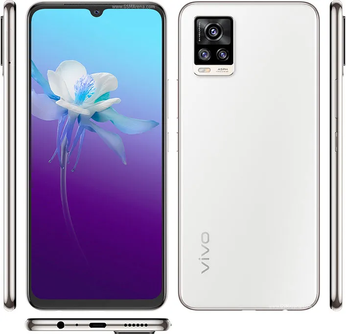 V20 2021