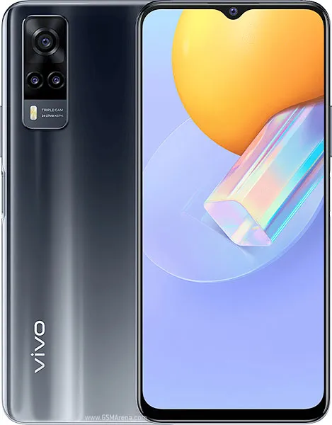 Y31