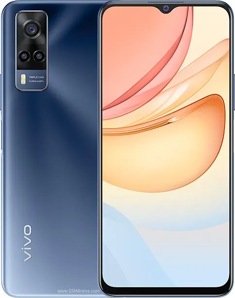 Y33