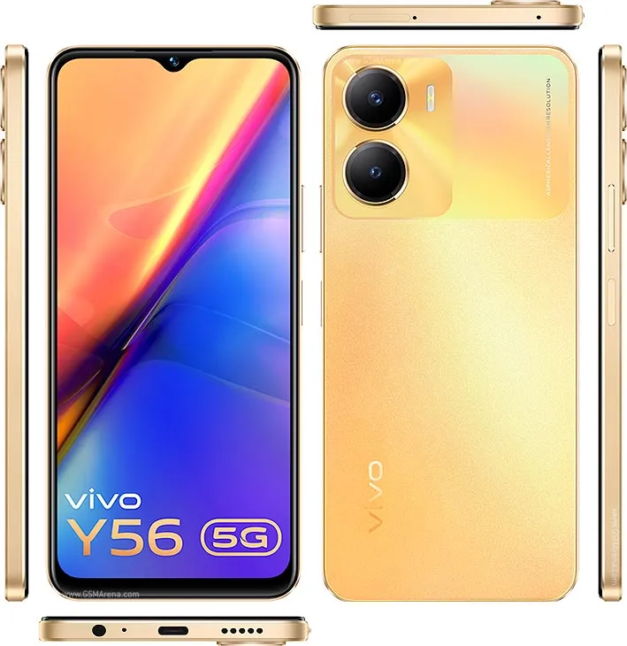 Y56