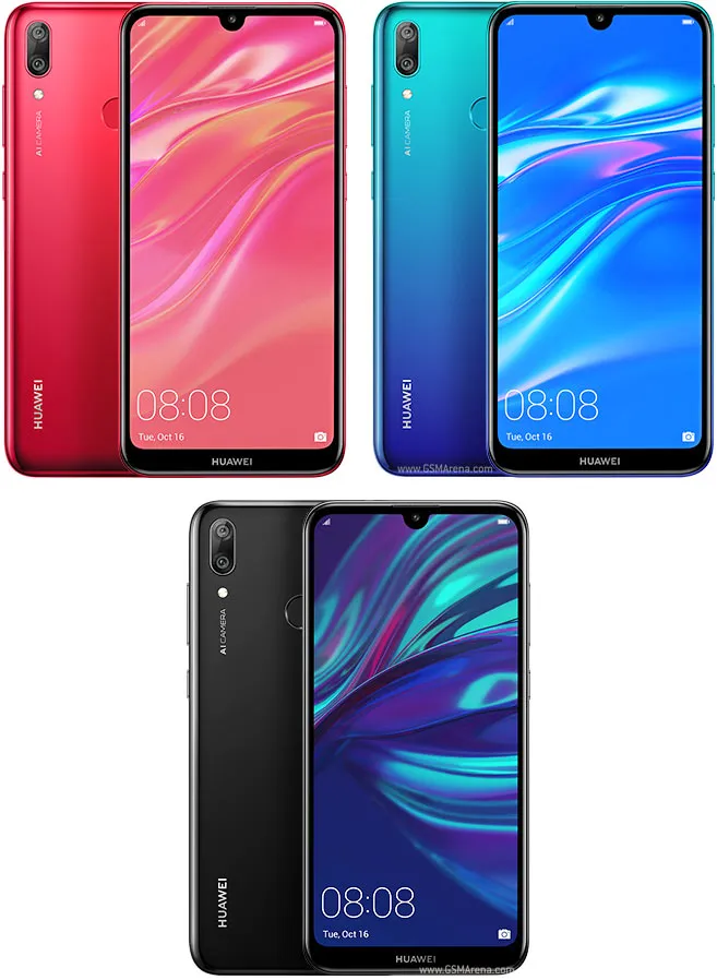 Y7 (2019)