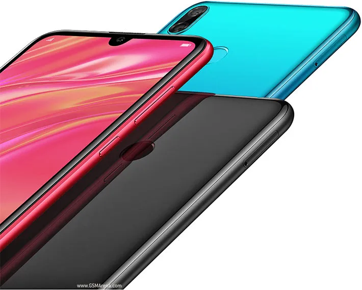 Y7 (2019)