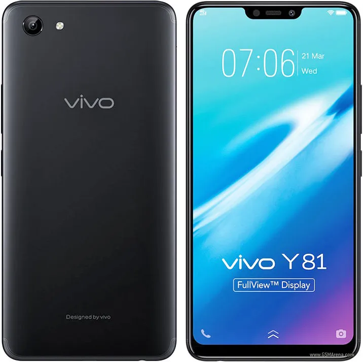 Y81