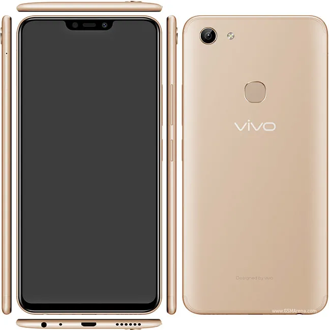 Y81