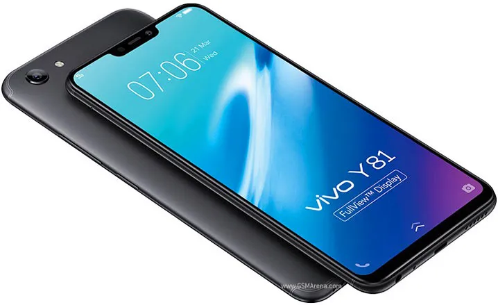 Y81