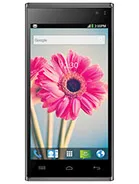 Iris 504q+