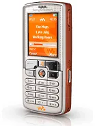 W800